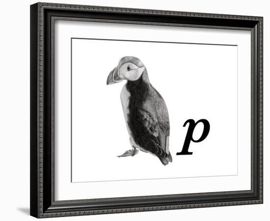 P is for Puffin-Stacy Hsu-Framed Art Print