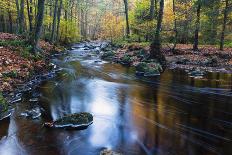 Autumn Forest on the Wild River La Hoegne, Near the Moor High Fens, Hautes Fagnes, Autumn, Ardennes-P. Kaczynski-Photographic Print