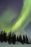 Northern Lights in Winter, Aurora Borealis, PyhŠ-Luosto National Park, Luosto, Lapland, Finland-P. Kaczynski-Photographic Print