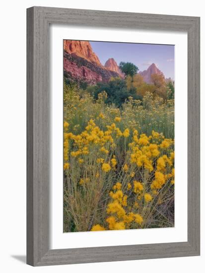 Pa Rus Trail Scene, Zion Canyon-Vincent James-Framed Photographic Print