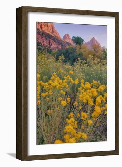 Pa Rus Trail Scene, Zion Canyon-Vincent James-Framed Photographic Print