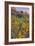 Pa Rus Trail Scene, Zion Canyon-Vincent James-Framed Photographic Print