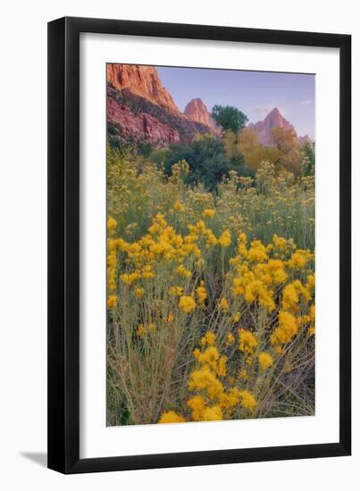 Pa Rus Trail Scene, Zion Canyon-Vincent James-Framed Photographic Print
