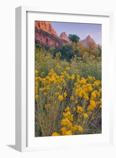 Pa Rus Trail Scene, Zion Canyon-Vincent James-Framed Photographic Print