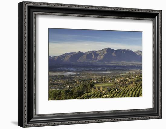 Paarl Valley at sunrise, Paarl, Western Cape, South Africa, Africa-Ian Trower-Framed Photographic Print