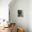 Pablo Casals, the Great Cello Player in His Home in Barcelona-null-Framed Stretched Canvas displayed on a wall