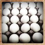 White Eggs in a Carton-pablo guzman-Photographic Print
