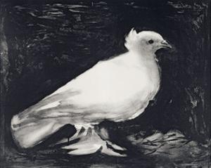 Dove, 1949 by Pablo Picasso