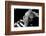 Pablo Picasso, Villa Californie, France-Rene Burri-Framed Art Print