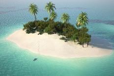 Aerial View of a Caribbean Desert Island in a Turquoise Water with a Woman Diving as a Concept for-Pablo Scapinachis-Art Print