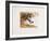 Pablo-Jean-marie Guiny-Framed Limited Edition