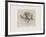 Pacchi E Balocchi-Annapia Antonini-Framed Limited Edition