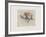 Pacchi E Balocchi-Annapia Antonini-Framed Limited Edition