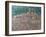 Pacentro, Abruzzi, Italy-Rosemary Lowndes-Framed Giclee Print