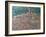 Pacentro, Abruzzi, Italy-Rosemary Lowndes-Framed Giclee Print