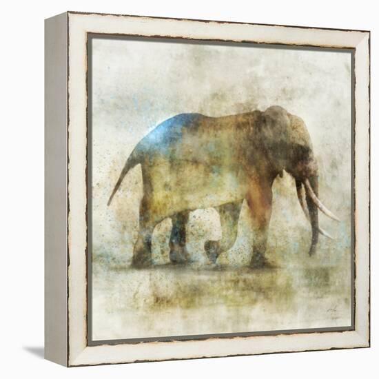 Pachyderm Dance 1-Ken Roko-Framed Stretched Canvas