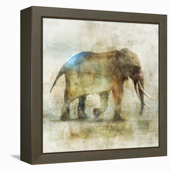 Pachyderm Dance 1-Ken Roko-Framed Stretched Canvas