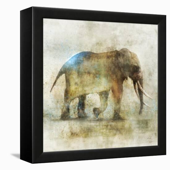 Pachyderm Dance 1-Ken Roko-Framed Stretched Canvas