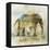 Pachyderm Dance 1-Ken Roko-Framed Stretched Canvas