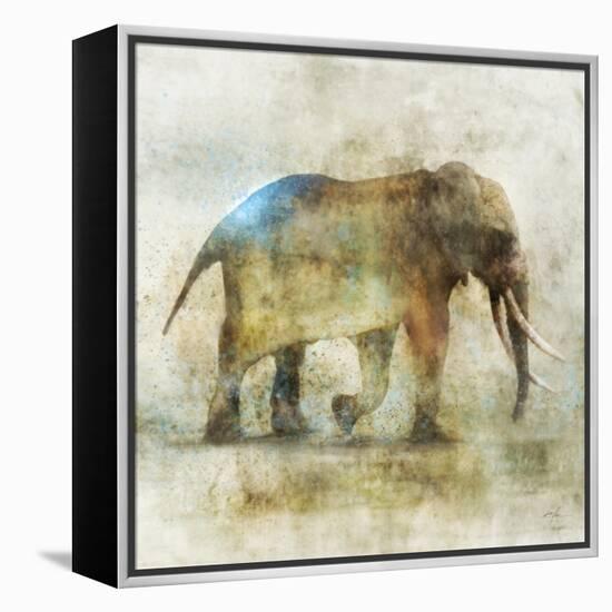 Pachyderm Dance 1-Ken Roko-Framed Stretched Canvas