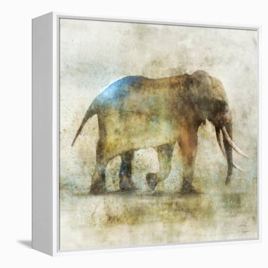 Pachyderm Dance 1-Ken Roko-Framed Stretched Canvas