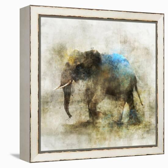 Pachyderm Dance 2-Ken Roko-Framed Stretched Canvas