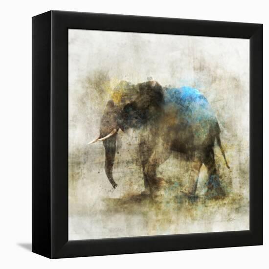 Pachyderm Dance 2-Ken Roko-Framed Stretched Canvas