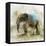 Pachyderm Dance 2-Ken Roko-Framed Stretched Canvas