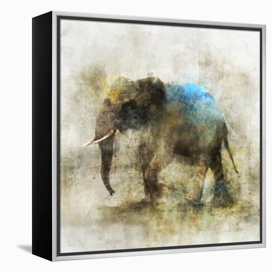 Pachyderm Dance 2-Ken Roko-Framed Stretched Canvas