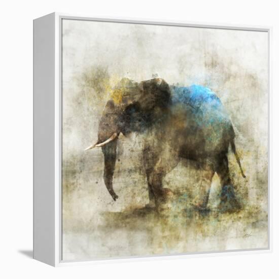 Pachyderm Dance 2-Ken Roko-Framed Stretched Canvas