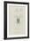 Pachygnathus Notops: Mite-Philip Henry Gosse-Framed Giclee Print