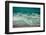 Pacific Afternoon IV-Nathan Larson-Framed Photographic Print