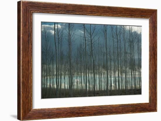 Pacific Albus and Clouds I-Erin Berzel-Framed Art Print