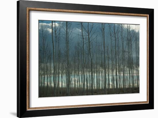 Pacific Albus and Clouds I-Erin Berzel-Framed Art Print