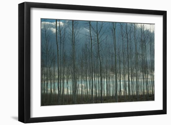 Pacific Albus and Clouds I-Erin Berzel-Framed Art Print