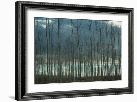 Pacific Albus and Clouds I-Erin Berzel-Framed Art Print