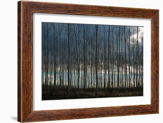 Pacific Albus and Clouds II-Erin Berzel-Framed Photographic Print