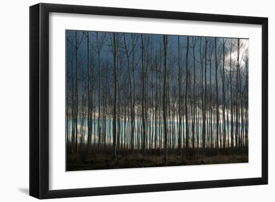 Pacific Albus and Clouds II-Erin Berzel-Framed Photographic Print