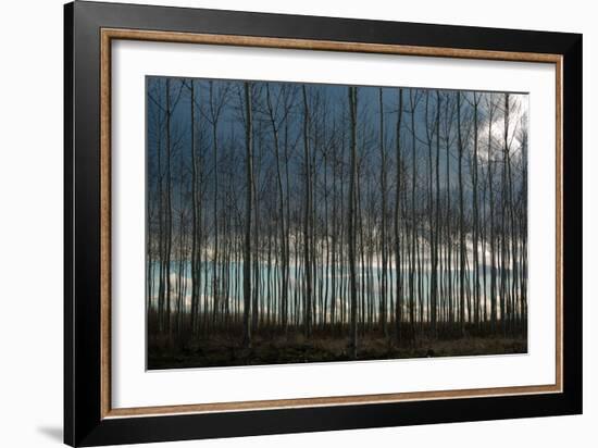 Pacific Albus and Clouds II-Erin Berzel-Framed Photographic Print