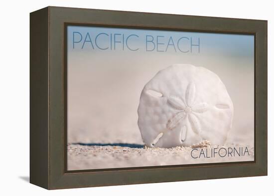 Pacific Beach, California - Sand Dollar on Beach-Lantern Press-Framed Stretched Canvas