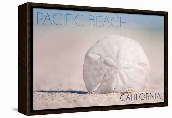 Pacific Beach, California - Sand Dollar on Beach-Lantern Press-Framed Stretched Canvas