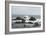 Pacific Coast in Northern California-Carol Highsmith-Framed Photo