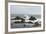 Pacific Coast in Northern California-Carol Highsmith-Framed Photo