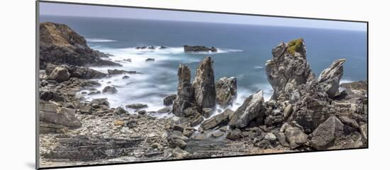 Pacific Coast, Mendocino County, California-Art Wolfe-Mounted Art Print