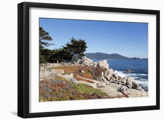 Pacific Coast Pacific Grove and Pebble Beach - Monterey Peninsula-Carol Highsmith-Framed Photo