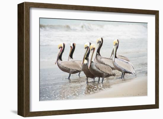 Pacific Cool IV Crop-Elizabeth Urquhart-Framed Art Print