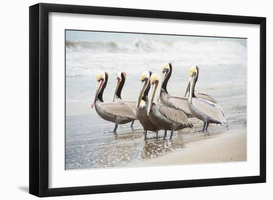 Pacific Cool IV Crop-Elizabeth Urquhart-Framed Art Print