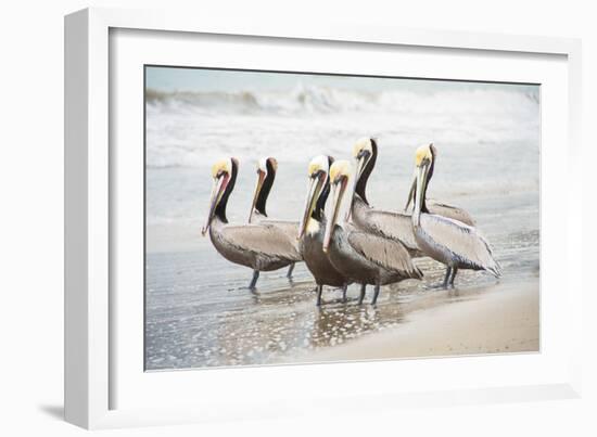 Pacific Cool IV Crop-Elizabeth Urquhart-Framed Art Print