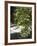 Pacific Dogwood Tree, Merced River, Yosemite National Park, California, USA-Adam Jones-Framed Photographic Print