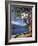 Pacific Madrone and Crescent Lake-James Randklev-Framed Photographic Print